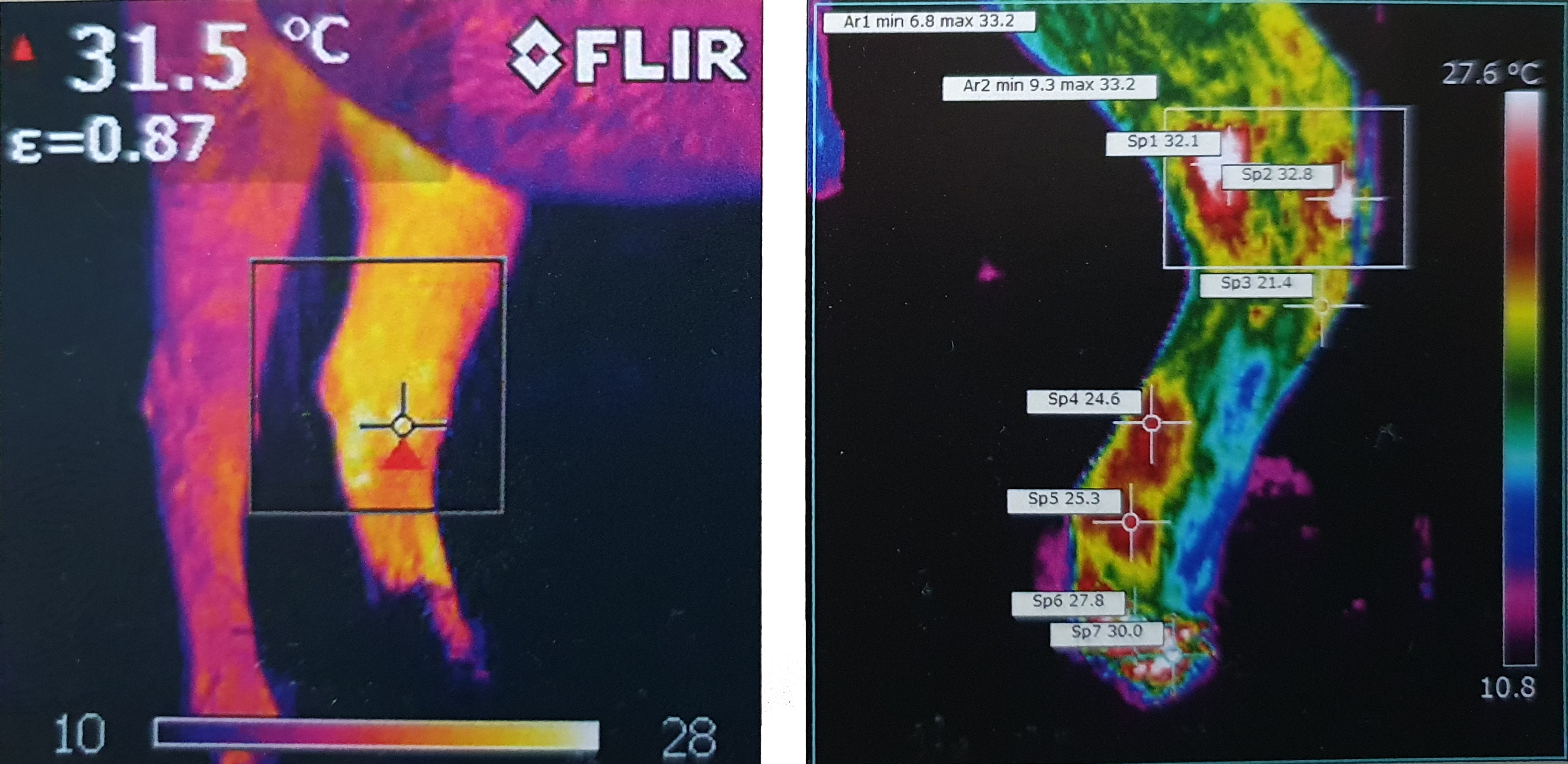 RenoTec Veterinär-Thermografie