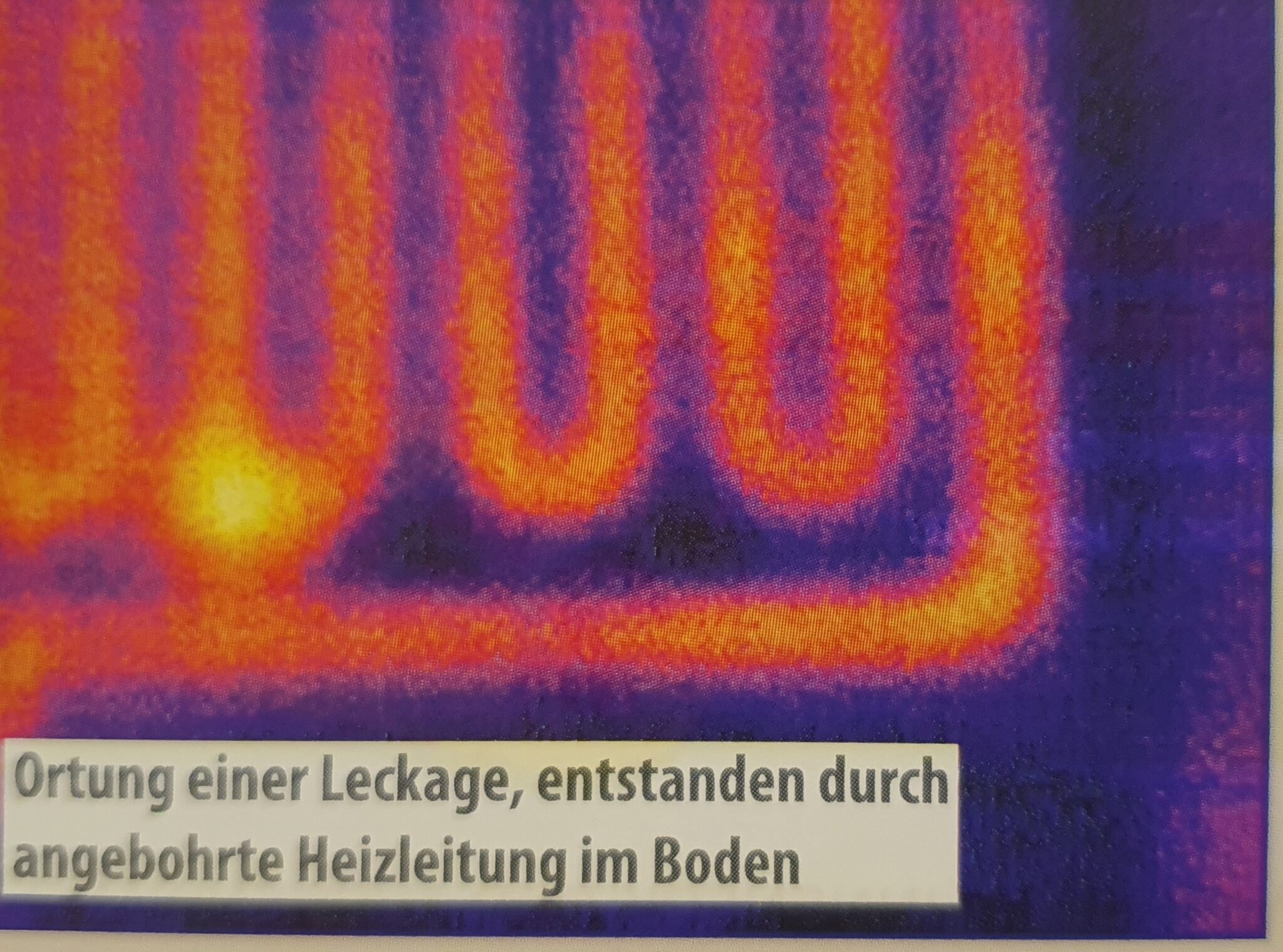 Gebäudethermografie 1