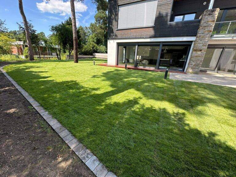 WhatsApp Bild 2024-08-08 um 11.47