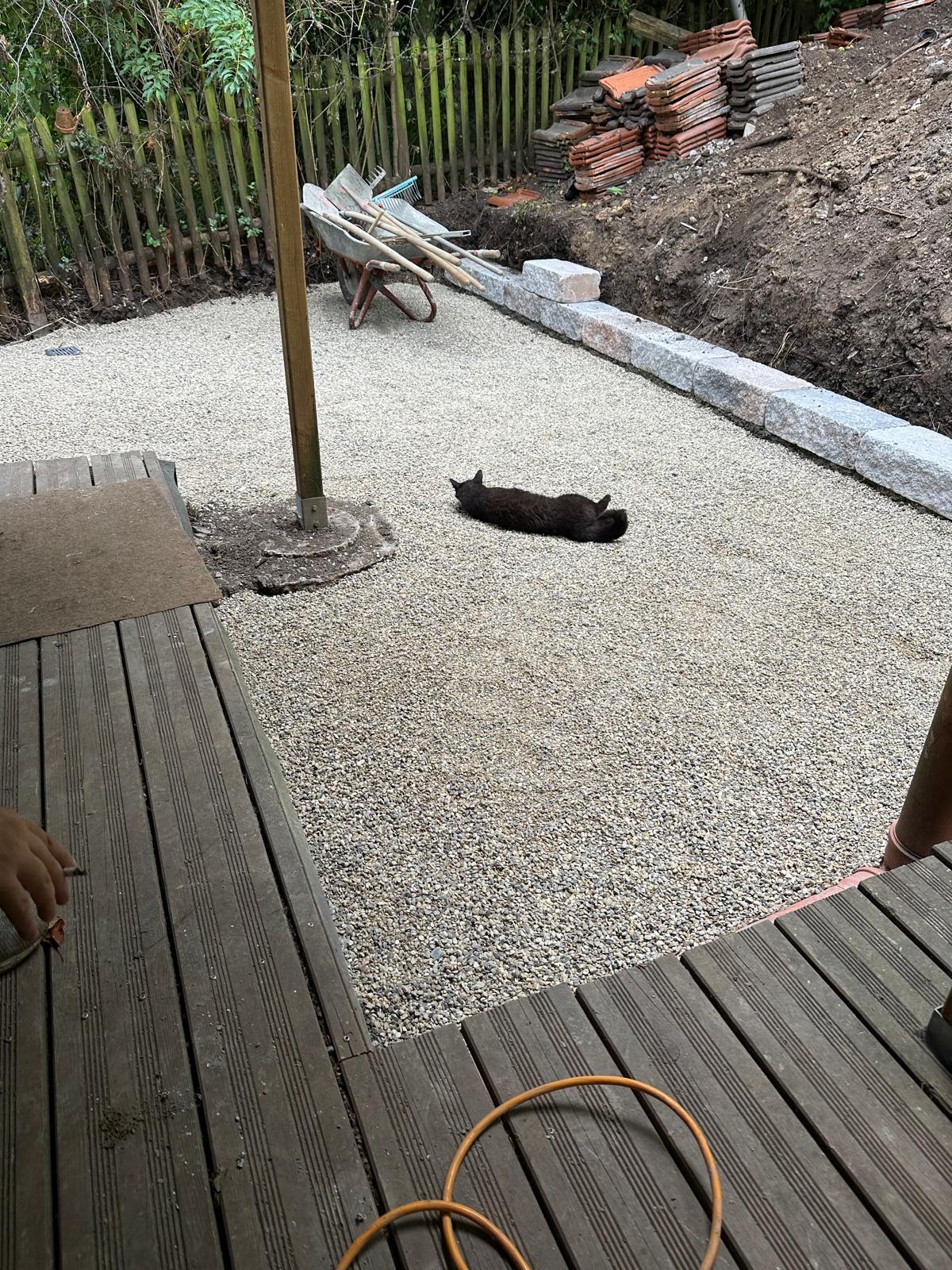 IMG-20250705-WA0015